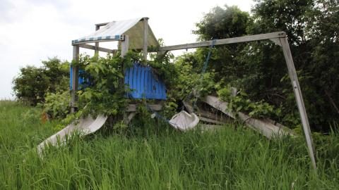 Tick paradise - IMG_3880.JPG