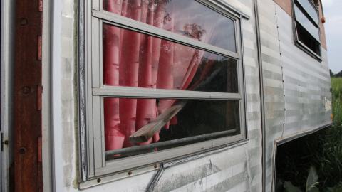 Tick paradise - IMG_3879.JPG