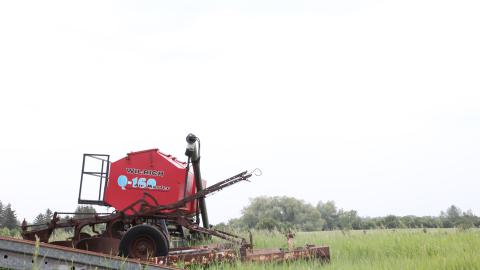 Tick paradise - IMG_3866.JPG