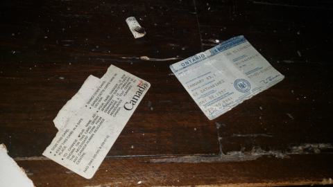 Ball Hockey Athletic Complex photo 5