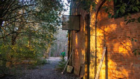 A Dream. - sammezzanoOAP-84.JPG