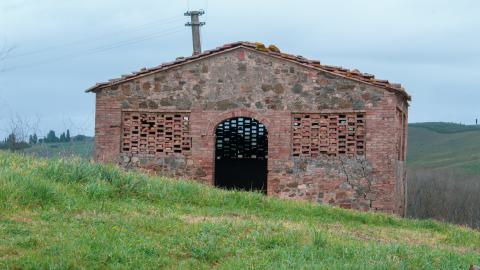 Lunchbreak. - italyfarm-69.JPG