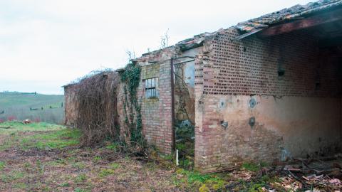 Lunchbreak. - italyfarm-75.JPG