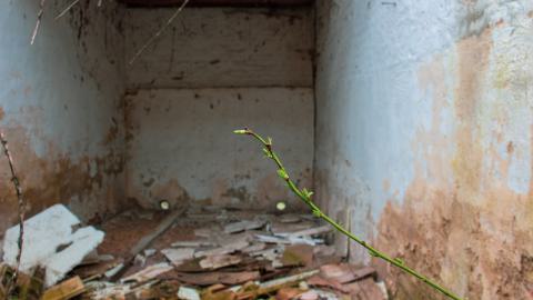 Lunchbreak. - italyfarm-76.JPG