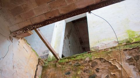 Lunchbreak. - italyfarm-79.JPG