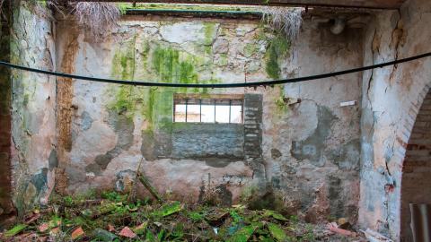 Lunchbreak. - italyfarm-80.JPG