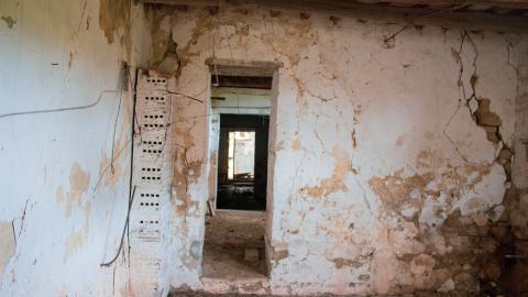 Lunchbreak. - italyfarm-82.JPG