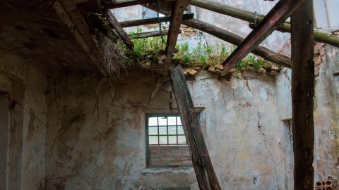 Lunchbreak. - italyfarm-84.JPG