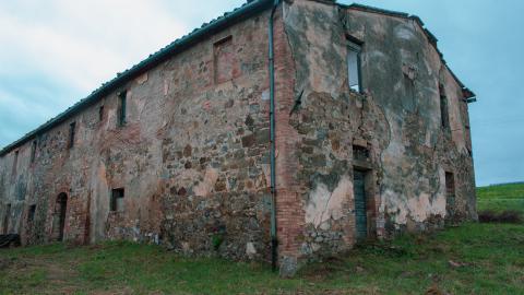 Lunchbreak. - italyfarm-87.JPG