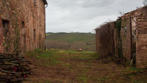 Lunchbreak. - italyfarm-89.JPG