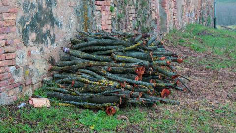 Lunchbreak. - italyfarm-90.JPG
