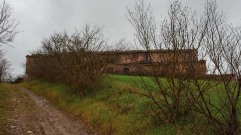 Lunchbreak. - italyfarm-91.JPG