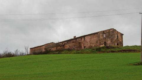 Lunchbreak. - italyfarm-92.JPG