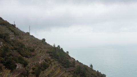 Deviation From The Path - vineyard-71.JPG