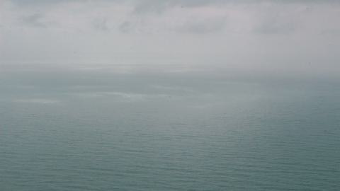 Deviation From The Path - vineyard-75.JPG