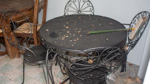 Deviation From The Path - vineyard-81.JPG