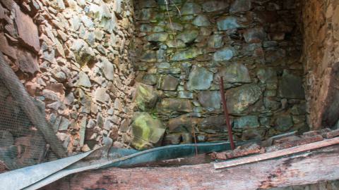 Deviation From The Path - vineyard-84.JPG