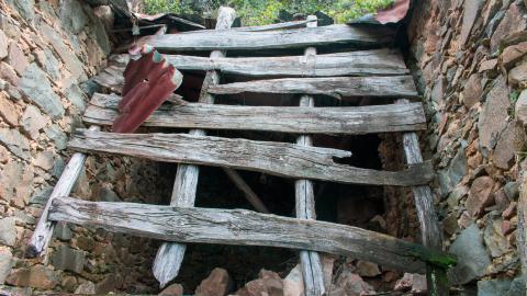 Deviation From The Path - vineyard-86.JPG