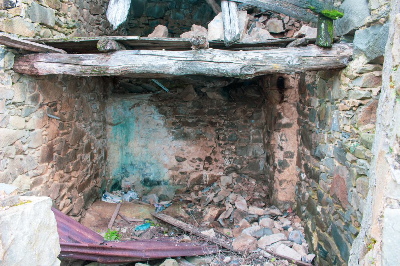 Deviation From The Path - vineyard-87.JPG