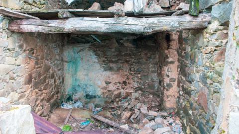 Deviation From The Path - vineyard-87.JPG