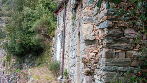 Deviation From The Path - vineyard-89.JPG