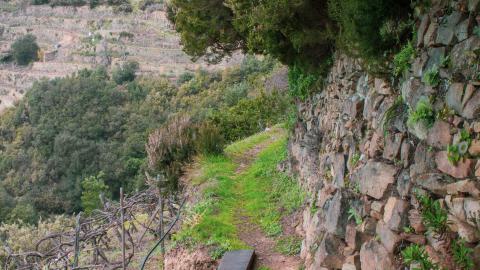 Deviation From The Path - vineyard-90.JPG