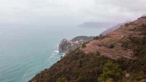 Deviation From The Path - vineyard-92.JPG