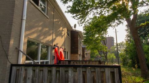 Housing Complex? I Find it Quite Simple, Really. - IMG_4384.JPG