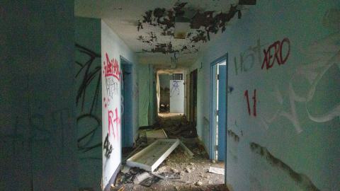 Bliss - IMG_4425.JPG