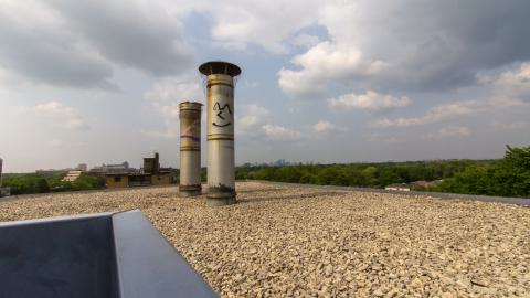 Bliss - IMG_4427.JPG