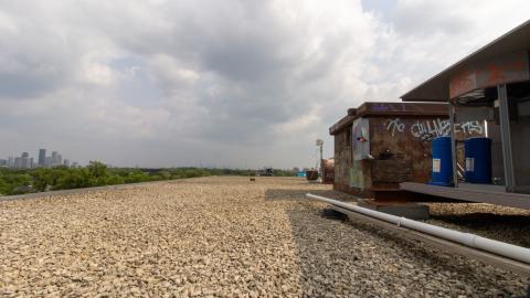 Bliss - IMG_4428.JPG