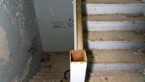 Bliss - IMG_4429.JPG