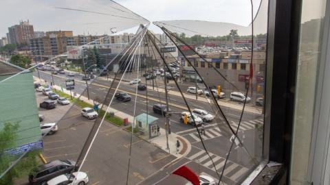 Bliss - IMG_4430.JPG