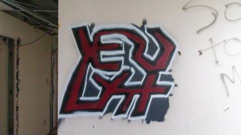 Bliss - IMG_4432.JPG