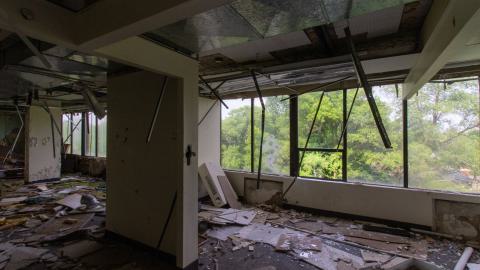 Bliss - IMG_4434.JPG