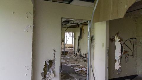 Bliss - IMG_4435.JPG