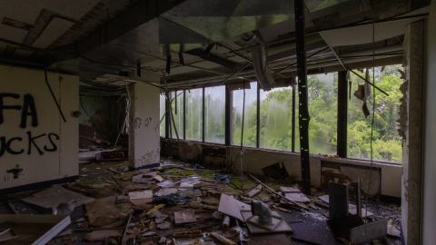 Bliss - IMG_4436.JPG