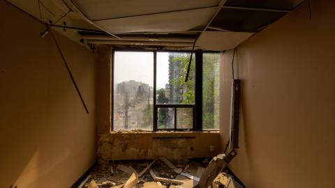 Bliss - IMG_4437.JPG