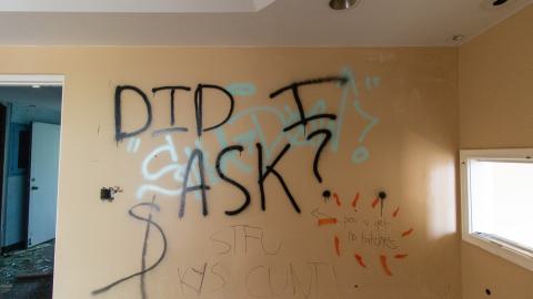 Bliss - IMG_4438.JPG