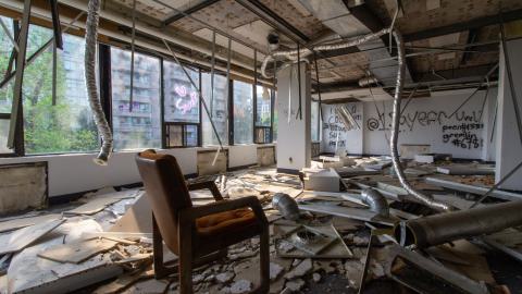 Bliss - IMG_4443.JPG