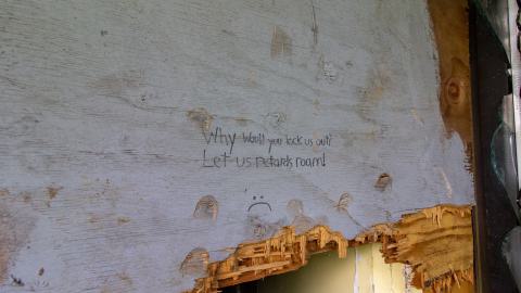 Bliss - IMG_4444.JPG