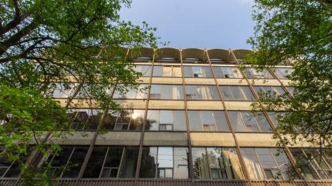 Bliss - IMG_4445.JPG