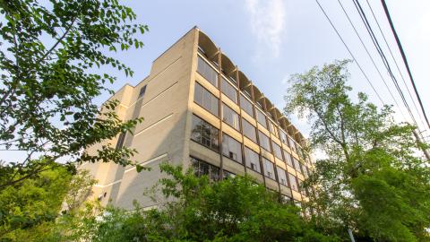 Bliss - IMG_4446.JPG