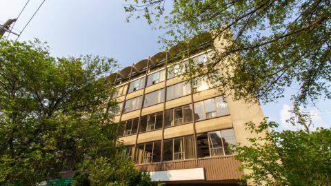 Bliss - IMG_4447.JPG