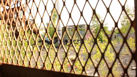 Linseed factory album.2 - IMG_0699.JPG