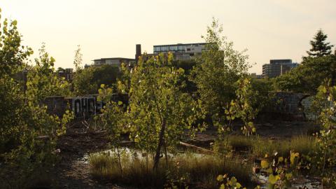 Linseed factory album.2 - IMG_0678.JPG