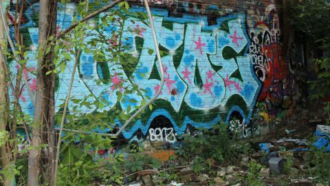 Linseed factory album.2 - IMG_0632.JPG