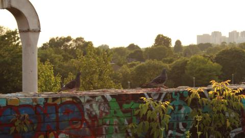 Linseed factory album.2 - IMG_0766.JPG