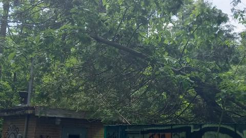 Summer Service Buildings (Not Entirely) - 20230625_122126.jpg