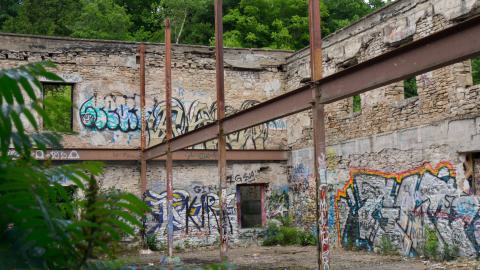 paper mill, trip 1 - DSC02258.jpg